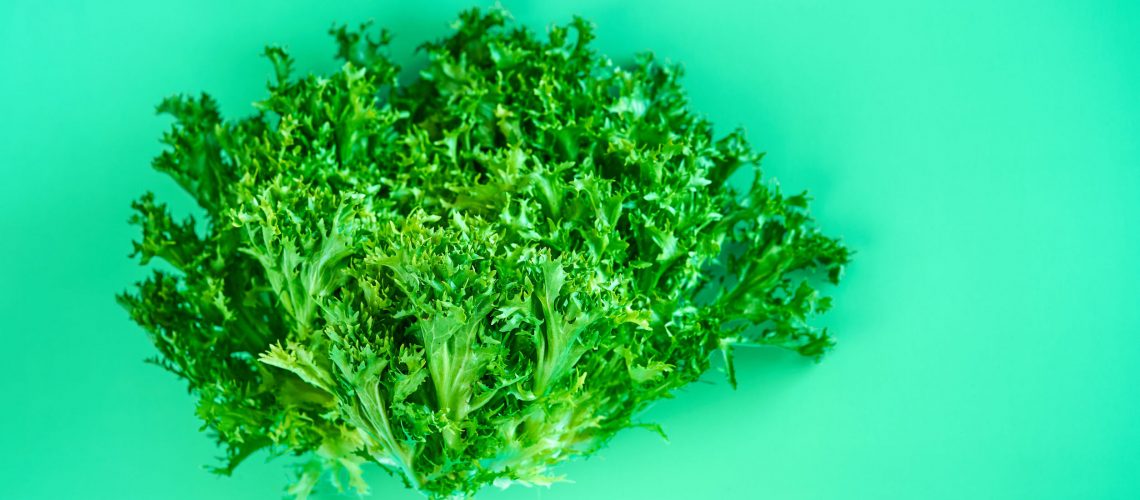 Überschätze Beilage oder supergesund: Welchen Mehrwert Salat im Hinblick auf die Prävention verschiedener Krankheiten bietet.